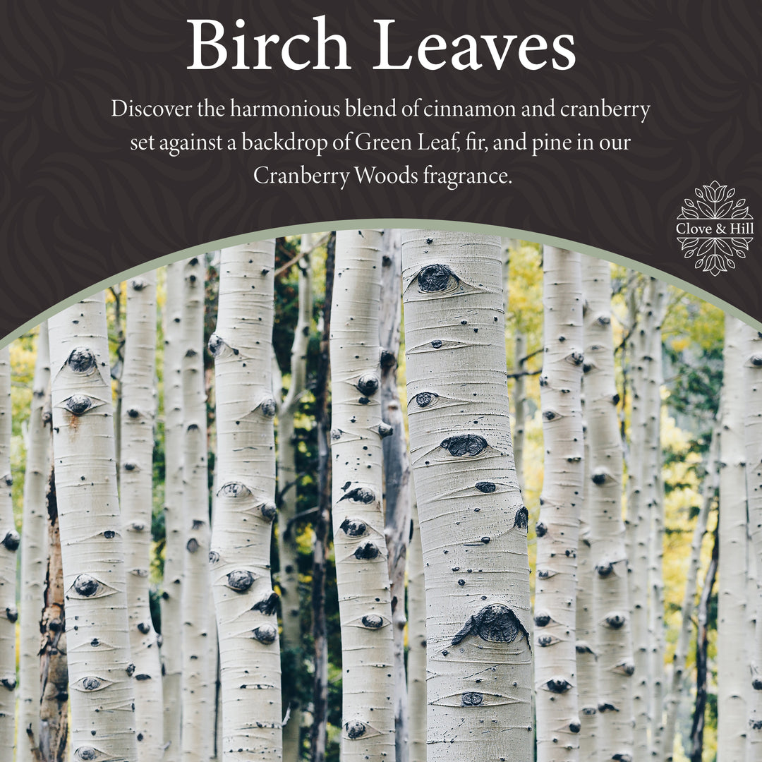 Birch Leaves