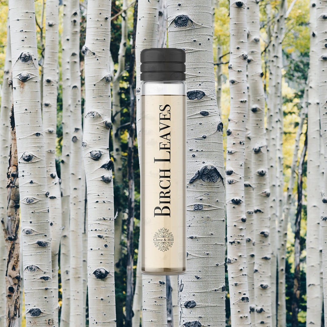 Birch Leaves Sample