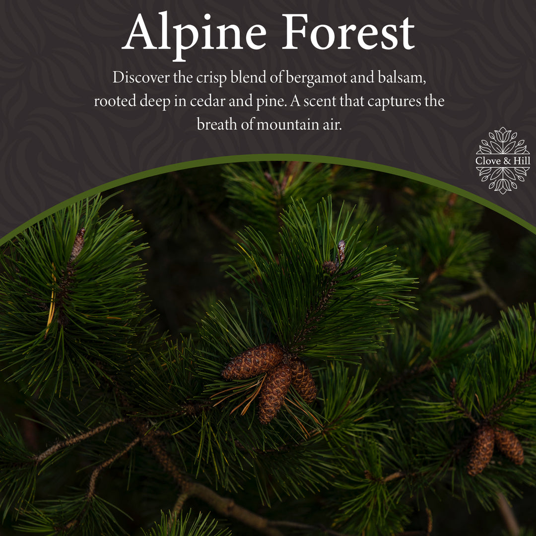 Alpine Forest
