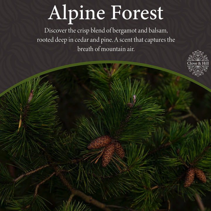 Alpine Forest