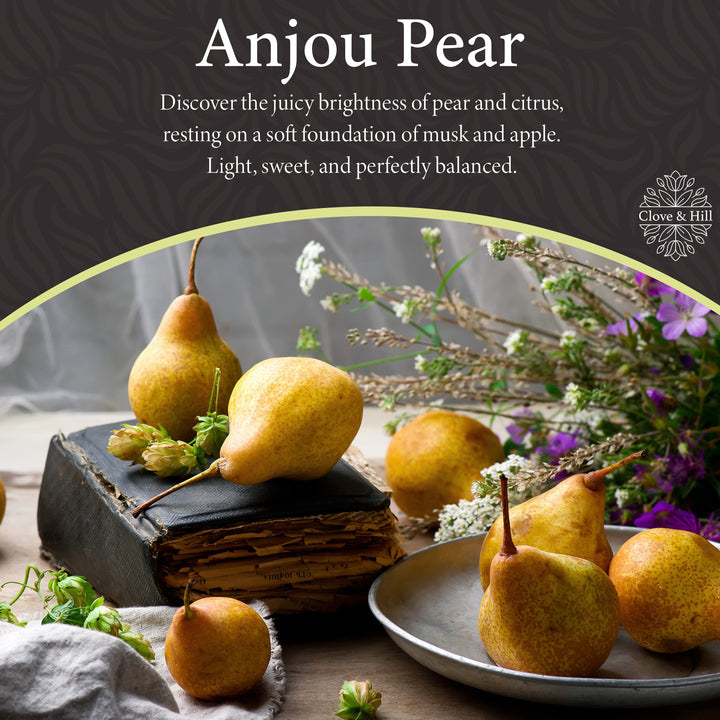 Anjou Pear