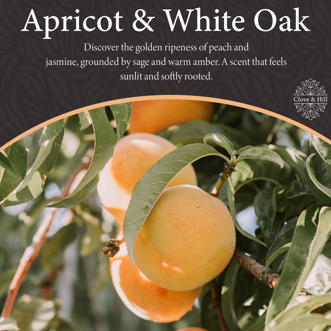 Apricot & White Oak 3-Wick Candle