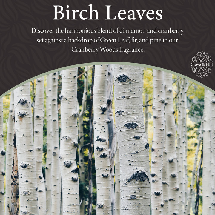 Birch Leaves  