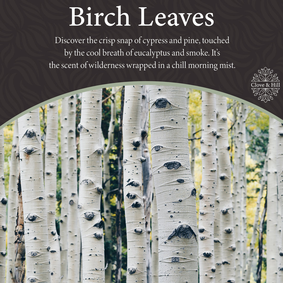 Birch Leaves 3-Wick Candle