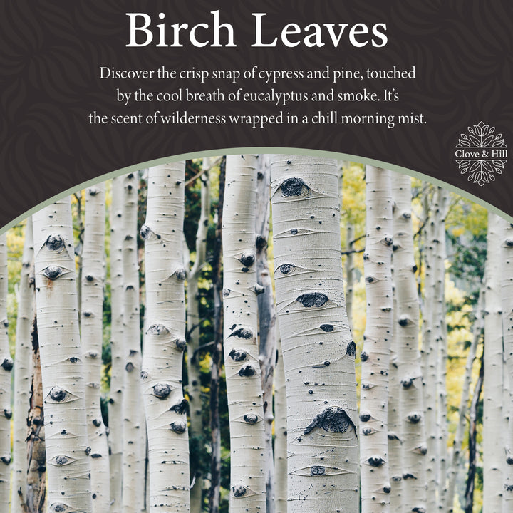 Birch Leaves 3-Wick Candle