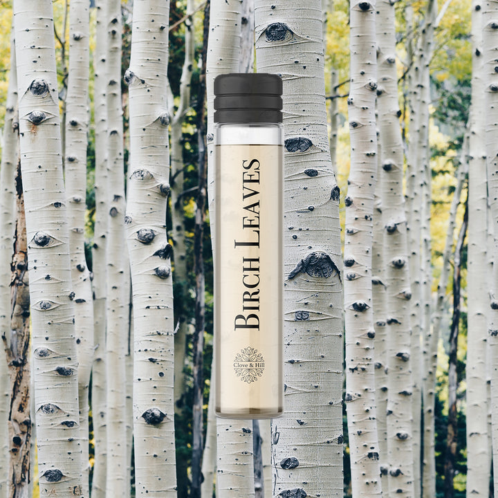 Birch Leaves Sample