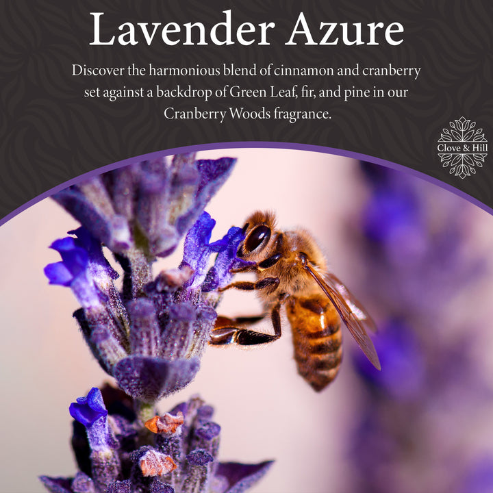 Lavender Azure