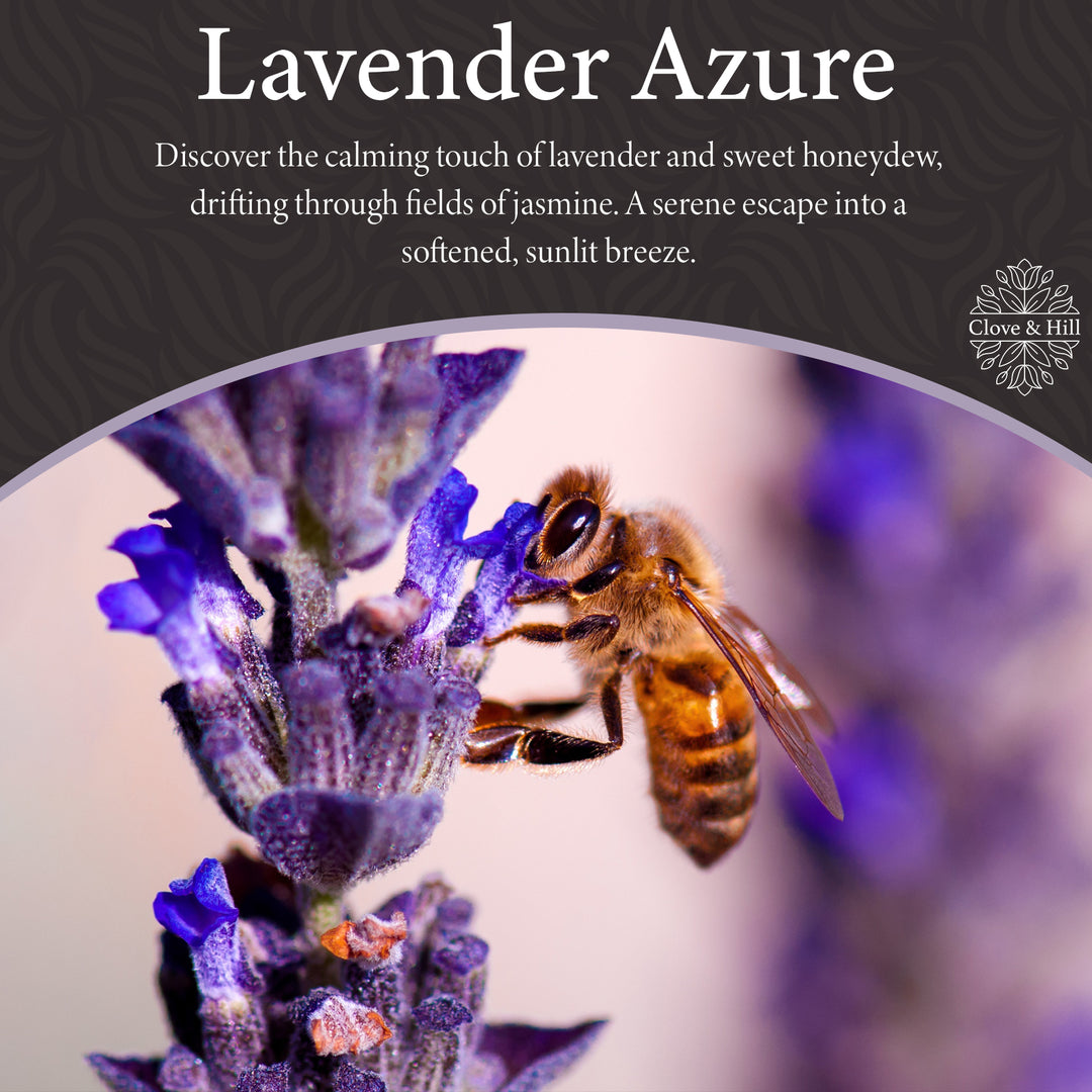 Lavender Azure