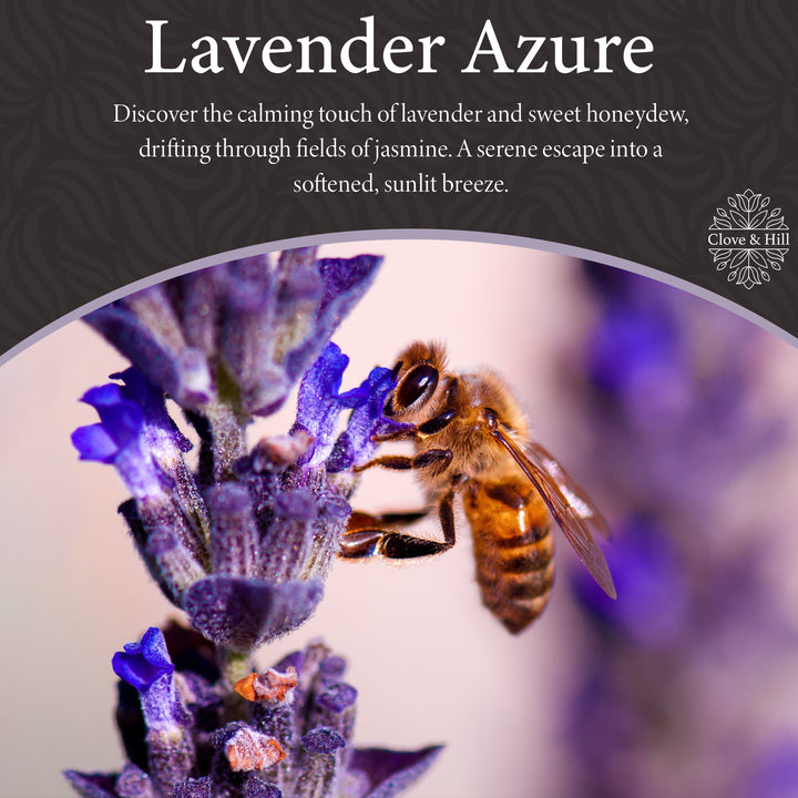 Lavender Azure