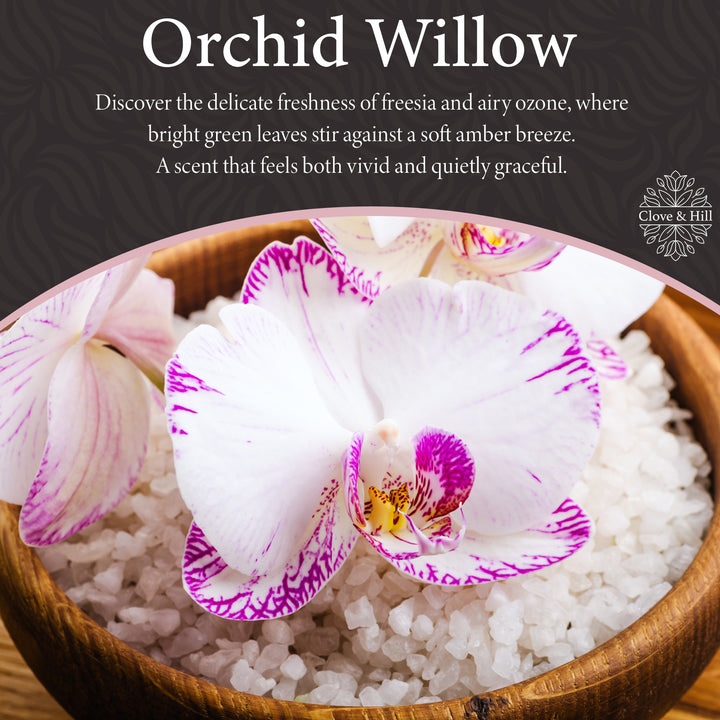 Orchid Willow 3-Wick Candle