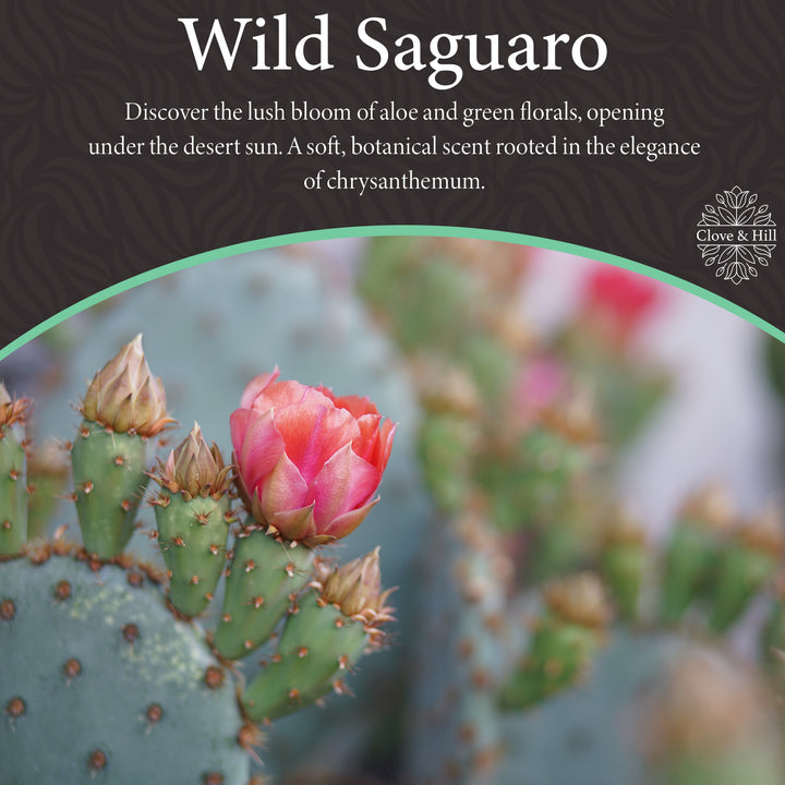 Wild Saguaro